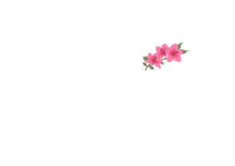 Logo Vakantiehuis Samos | Bougainvillea Holiday Home