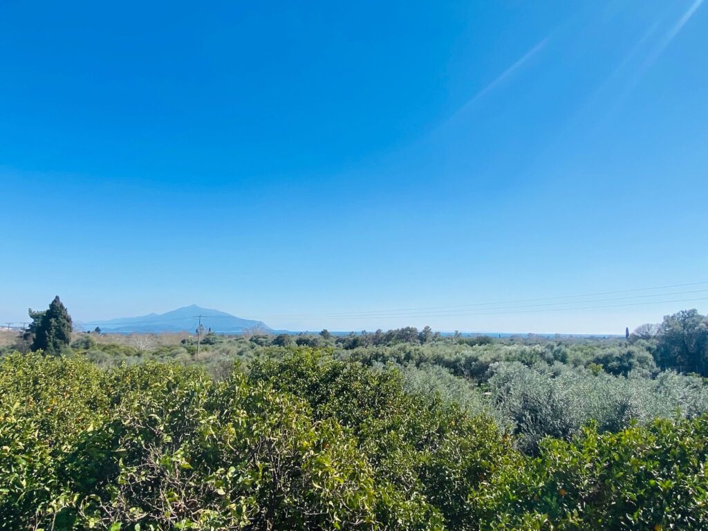 omgeving van bougainvillea holiday home, vlakbij zee